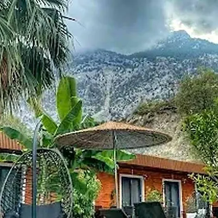 Hotel Terra Garden